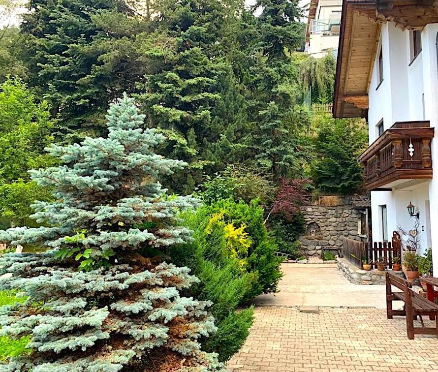 Appartments Bergluft Malles Venosta Bagian luar foto