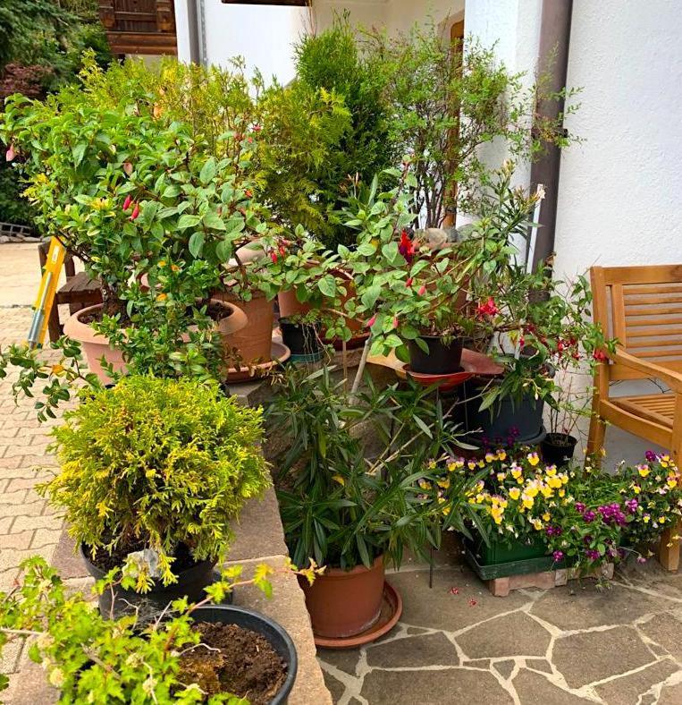 Appartments Bergluft Malles Venosta Bagian luar foto